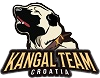 Kangal
